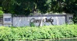 Naples-Grey-Oaks