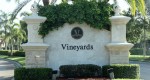 vineyards_naples